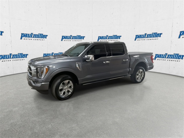2023 Ford F-150 Platinum photo 4