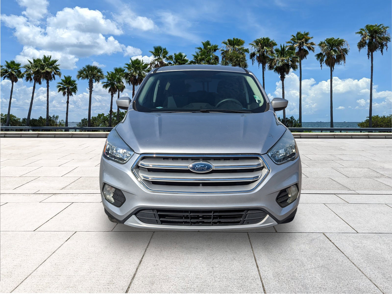 2019 Ford Escape SE photo 3