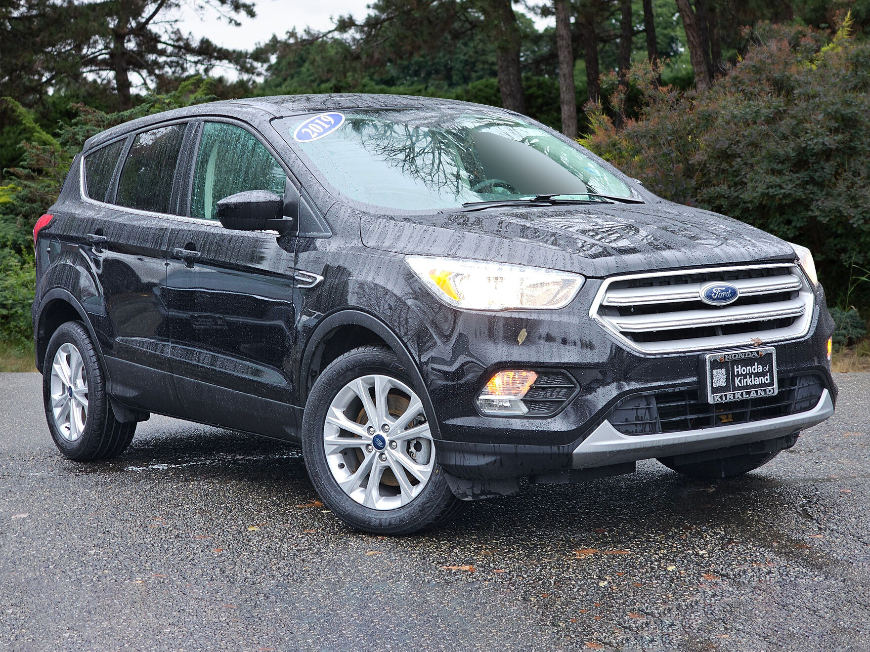 2019 Ford Escape SE's photo