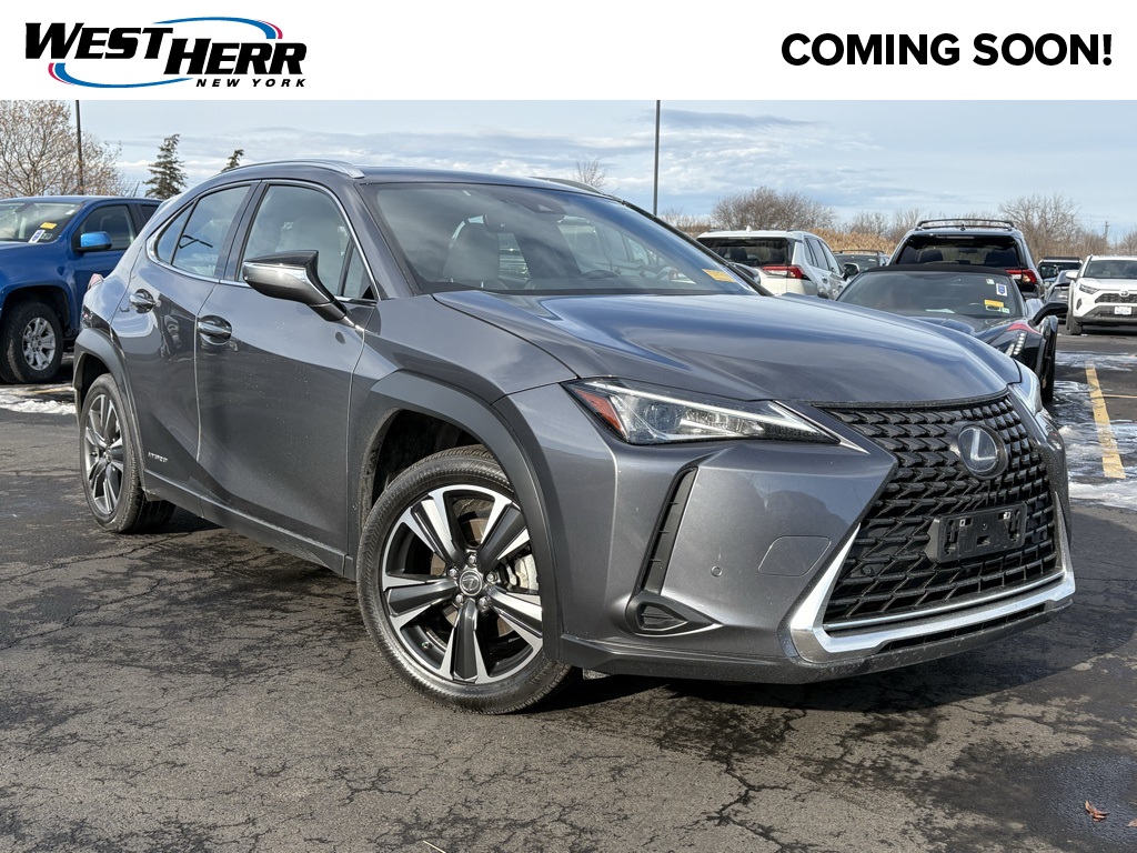 2021 Lexus UX Hybrid 250h's photo