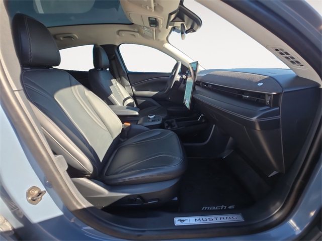 2023 Ford Mustang Mach-E Premium photo 14