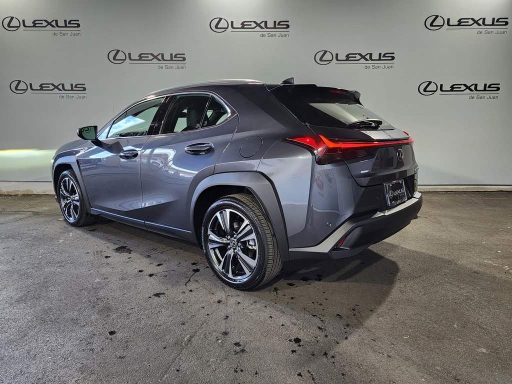 2025 Lexus UX photo 6