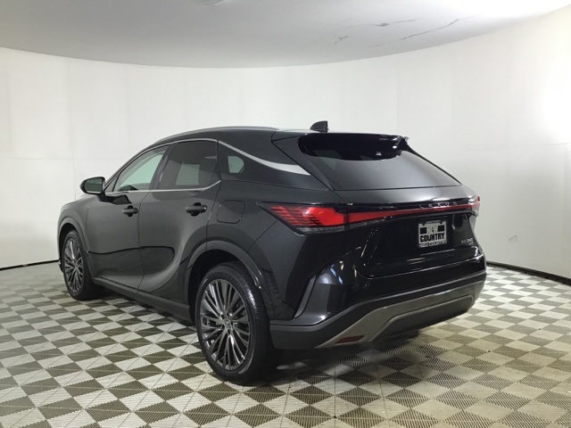 2023 Lexus RX 350 Luxury photo 4