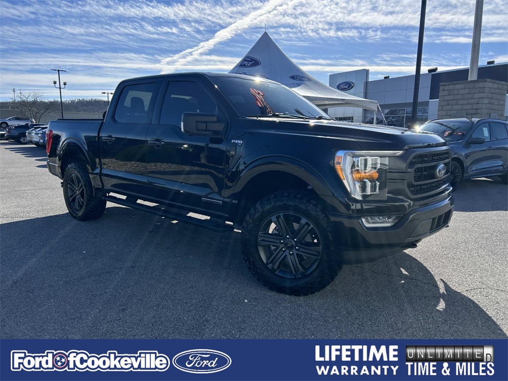 2023 Ford F-150 XLT's photo