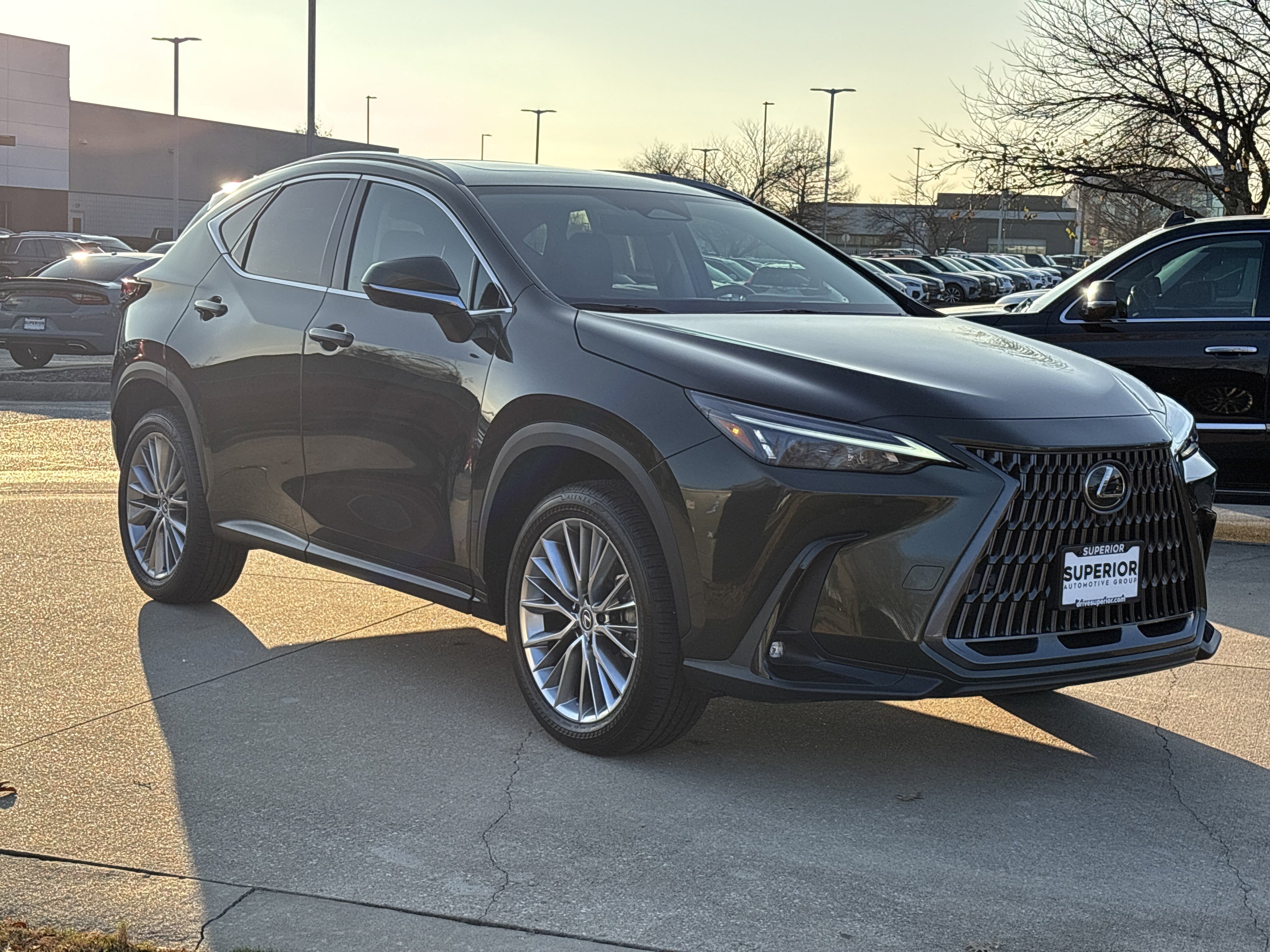 2025 Lexus NX 350's photo
