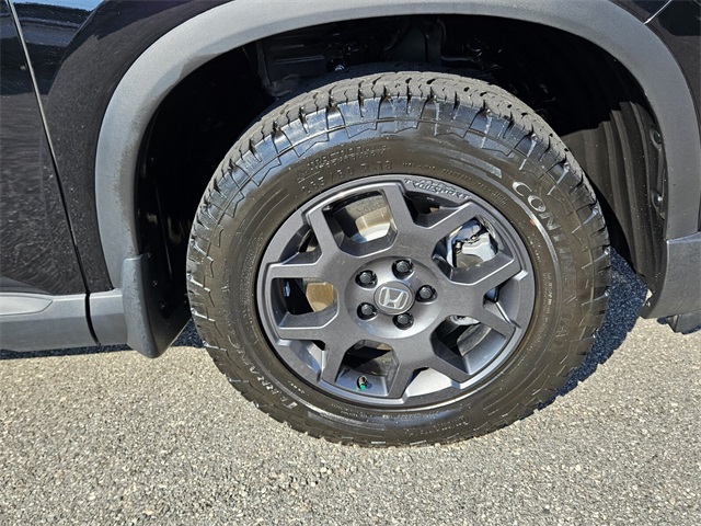 2025 Honda Pilot TrailSport photo 19