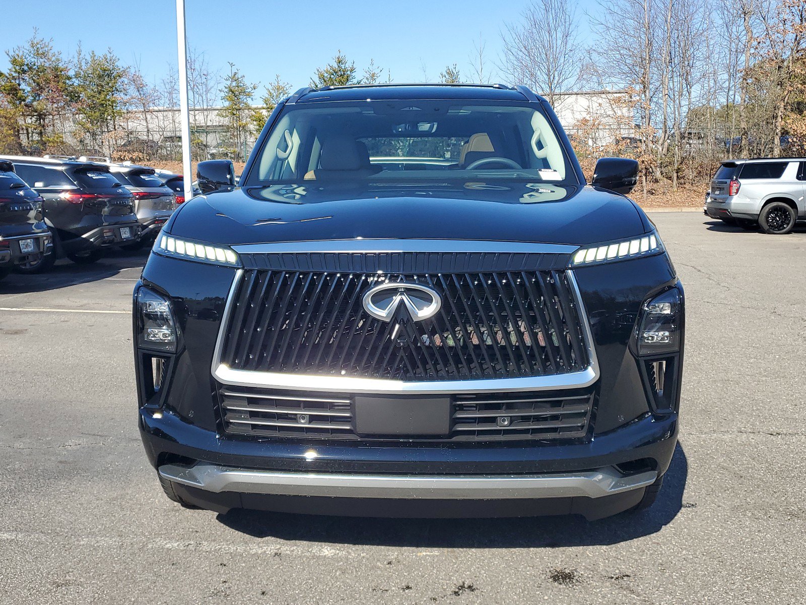 2025 Infiniti QX80 Luxe photo 3