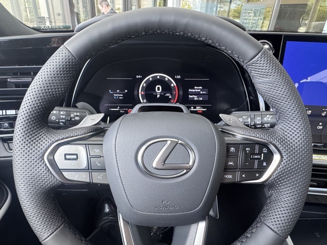 2025 Lexus TX 350 F SPORT photo 11