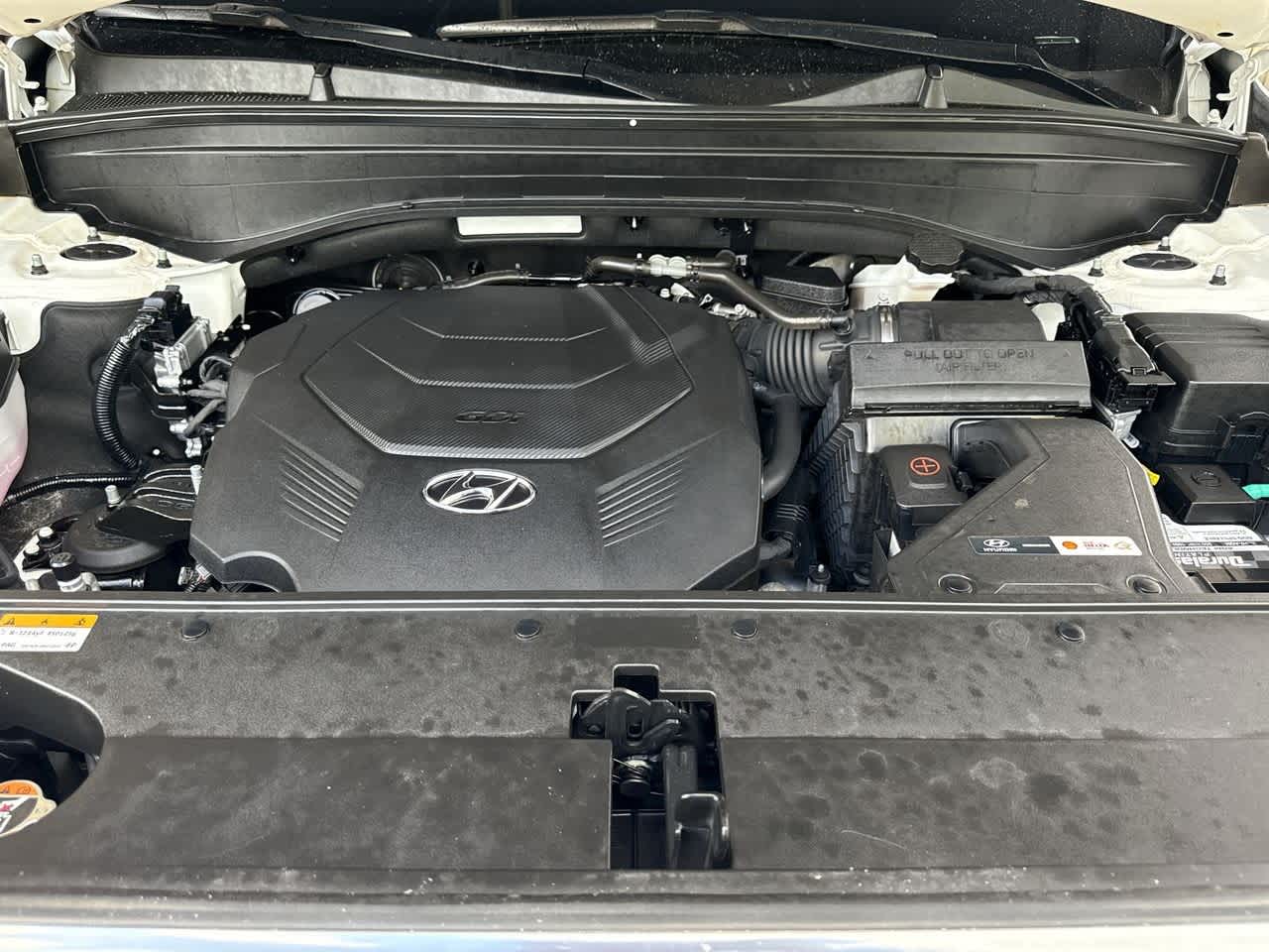 2023 Hyundai Palisade Calligraphy photo 10