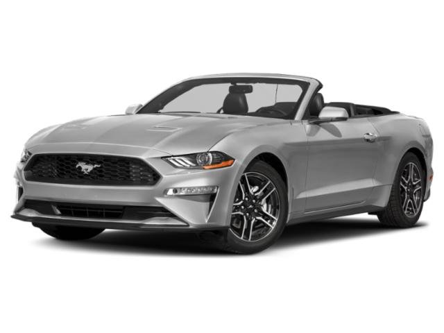 2019 FORD MUSTANG - Image 1