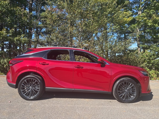 2025 Lexus RX 350 Premium photo 2