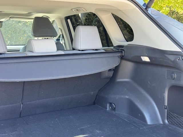 2024 Toyota RAV4 Limited photo 3