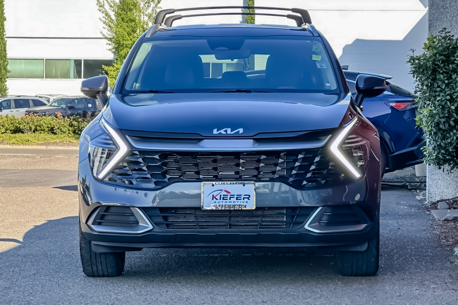 2024 Kia Sportage EX photo 3