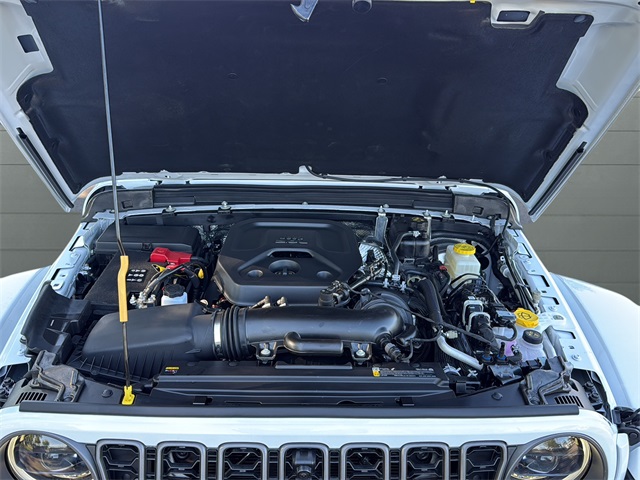 2025 Jeep Wrangler Rubicon X photo 19