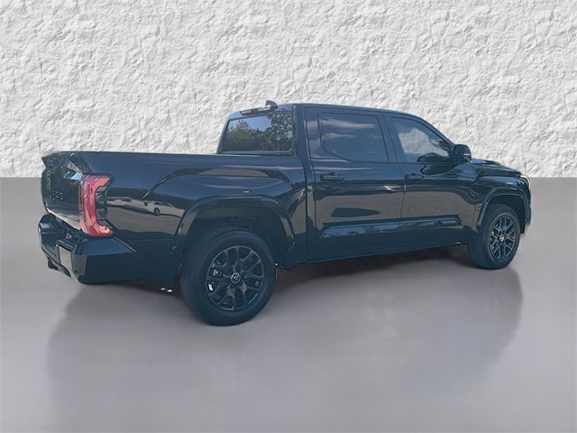 2024 Toyota Tundra Platinum photo 3