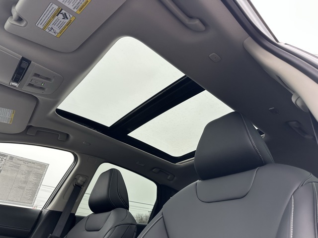 2025 Nissan Murano SL photo 6