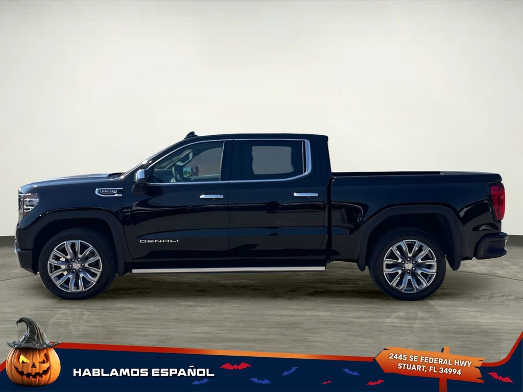 2025 Gmc Sierra 1500 Denali photo 3