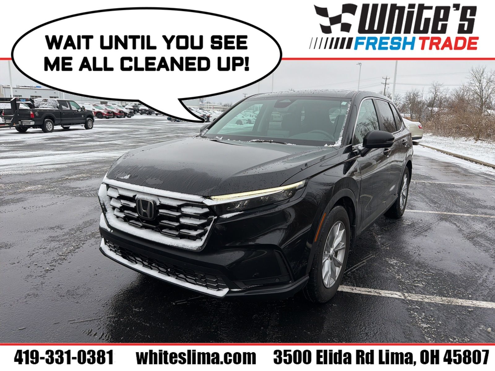 2024 Honda CR-V EX-L's photo