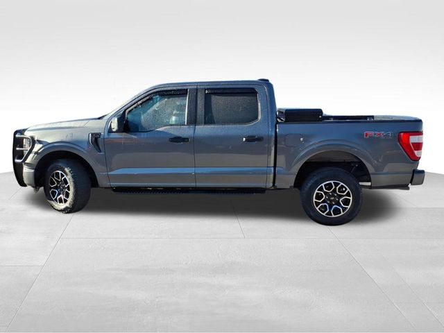 2023 Ford F-150 XL photo 3