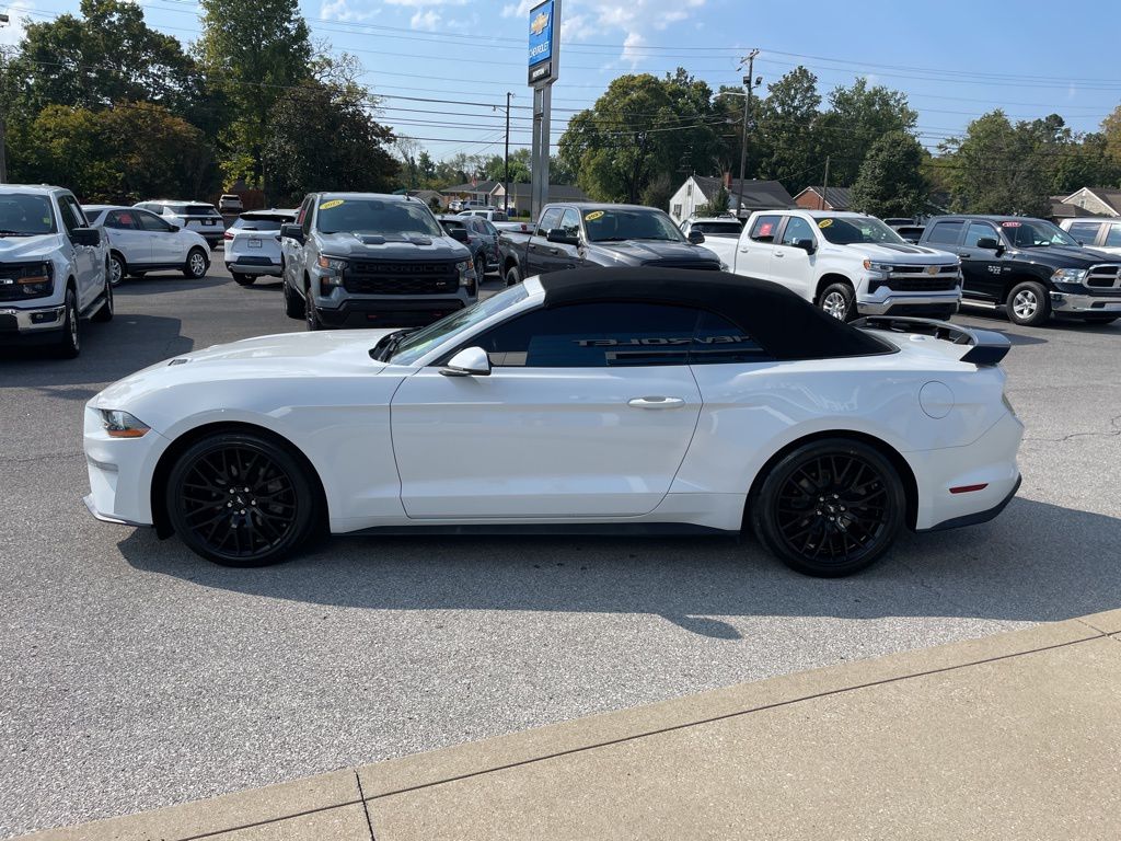 2019 Ford Mustang EcoBoost Premium photo 3