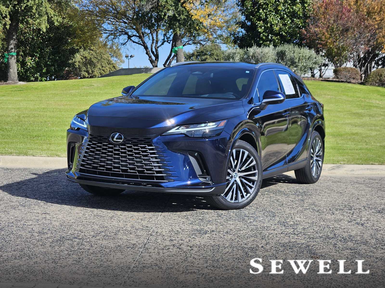 2023 Lexus RX 350's photo