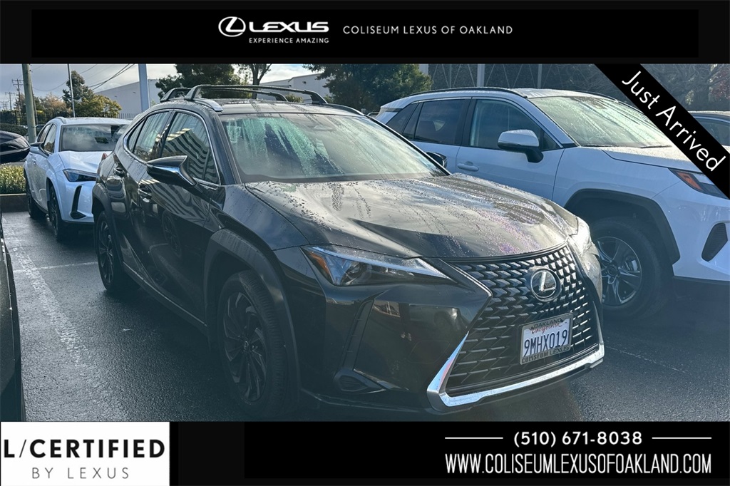 2025 Lexus UX Hybrid 300h's photo