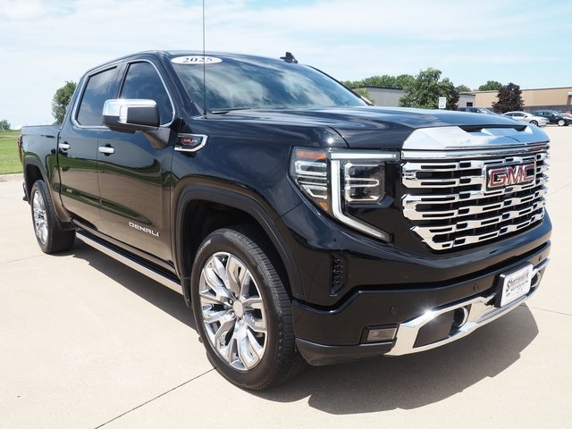 2025 Gmc Sierra 1500 Denali photo 3