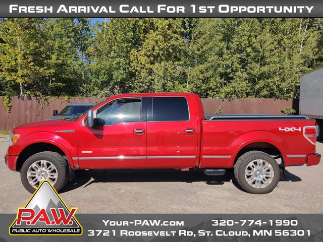 2011 Ford F-150 Platinum photo 5