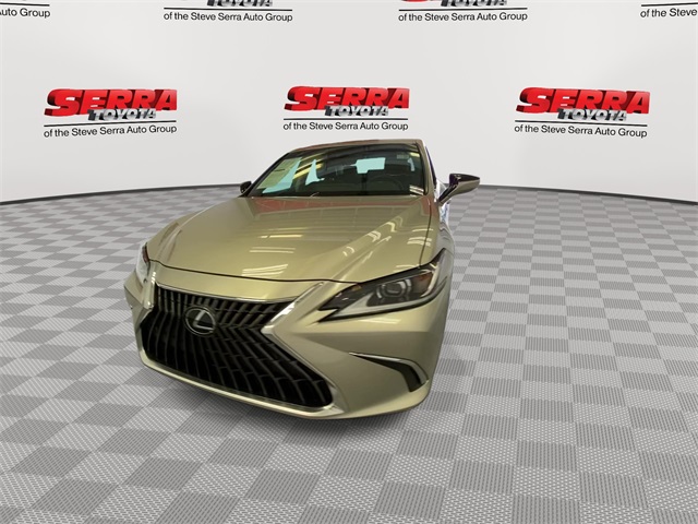 2024 Lexus ES 250 Premium photo 4