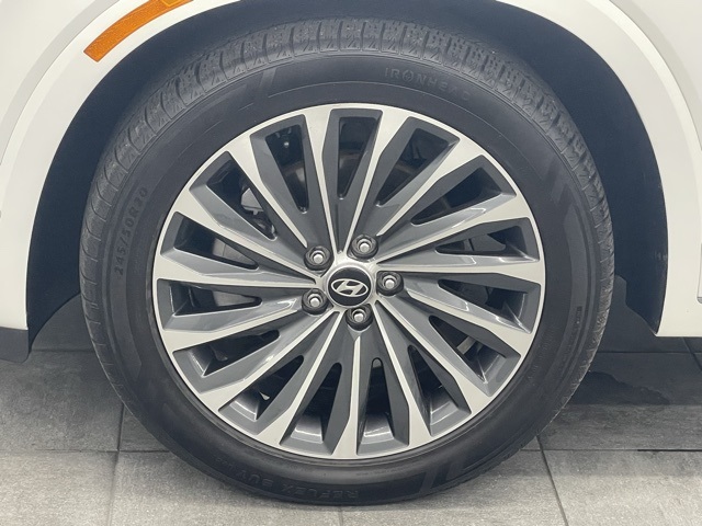 2024 Hyundai Palisade Calligraphy photo 5