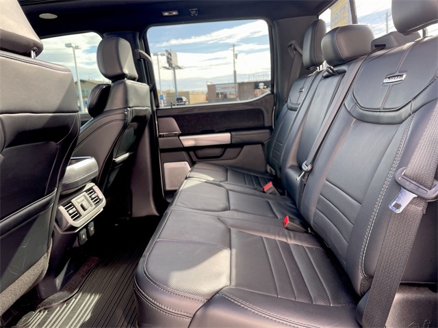 2024 Ford F-150 Platinum photo 15
