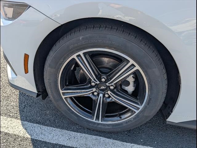 2024 Ford Mustang EcoBoost photo 5