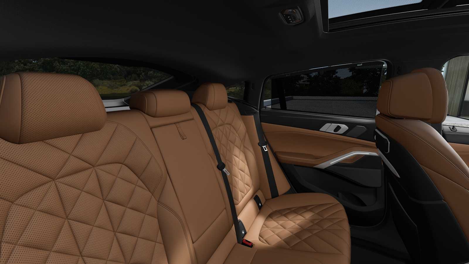 2026 Bmw X6 xDrive40i photo 9