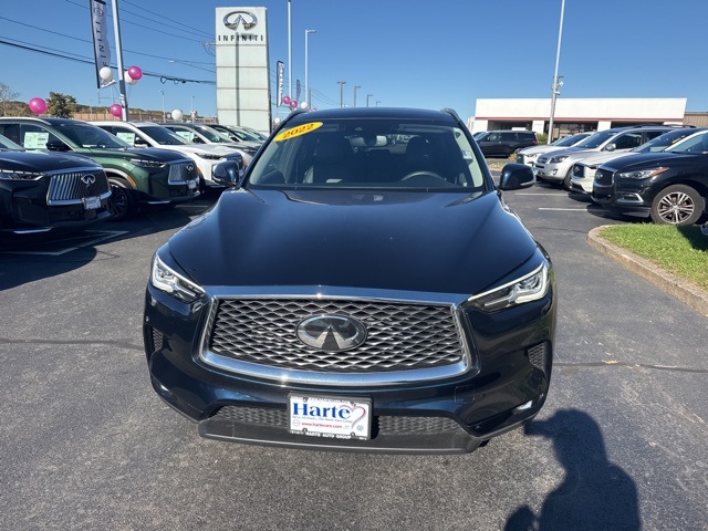 2022 Infiniti QX50 Luxe photo 2