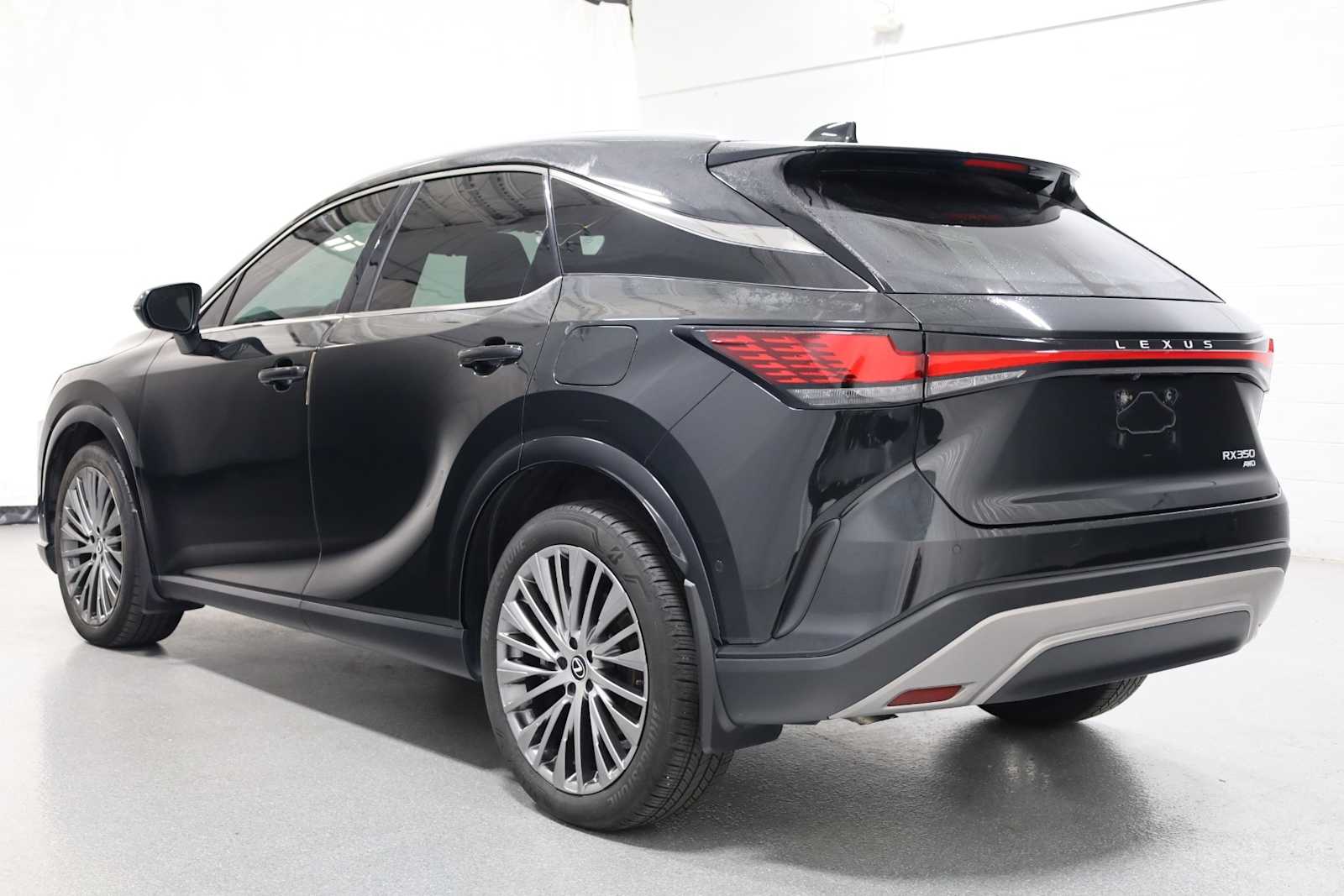 2024 Lexus RX Luxury photo 3
