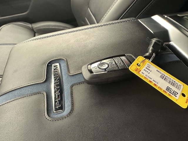 2025 Ford F-150 Platinum photo 33
