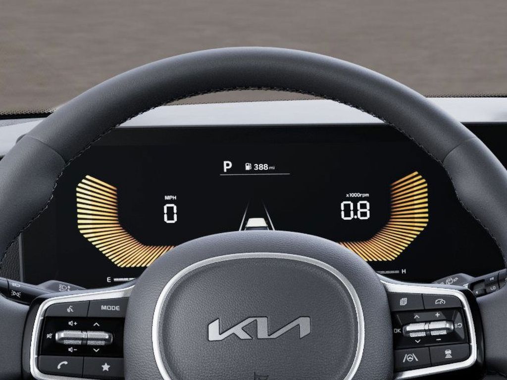 2025 Kia Carnival EX photo 21