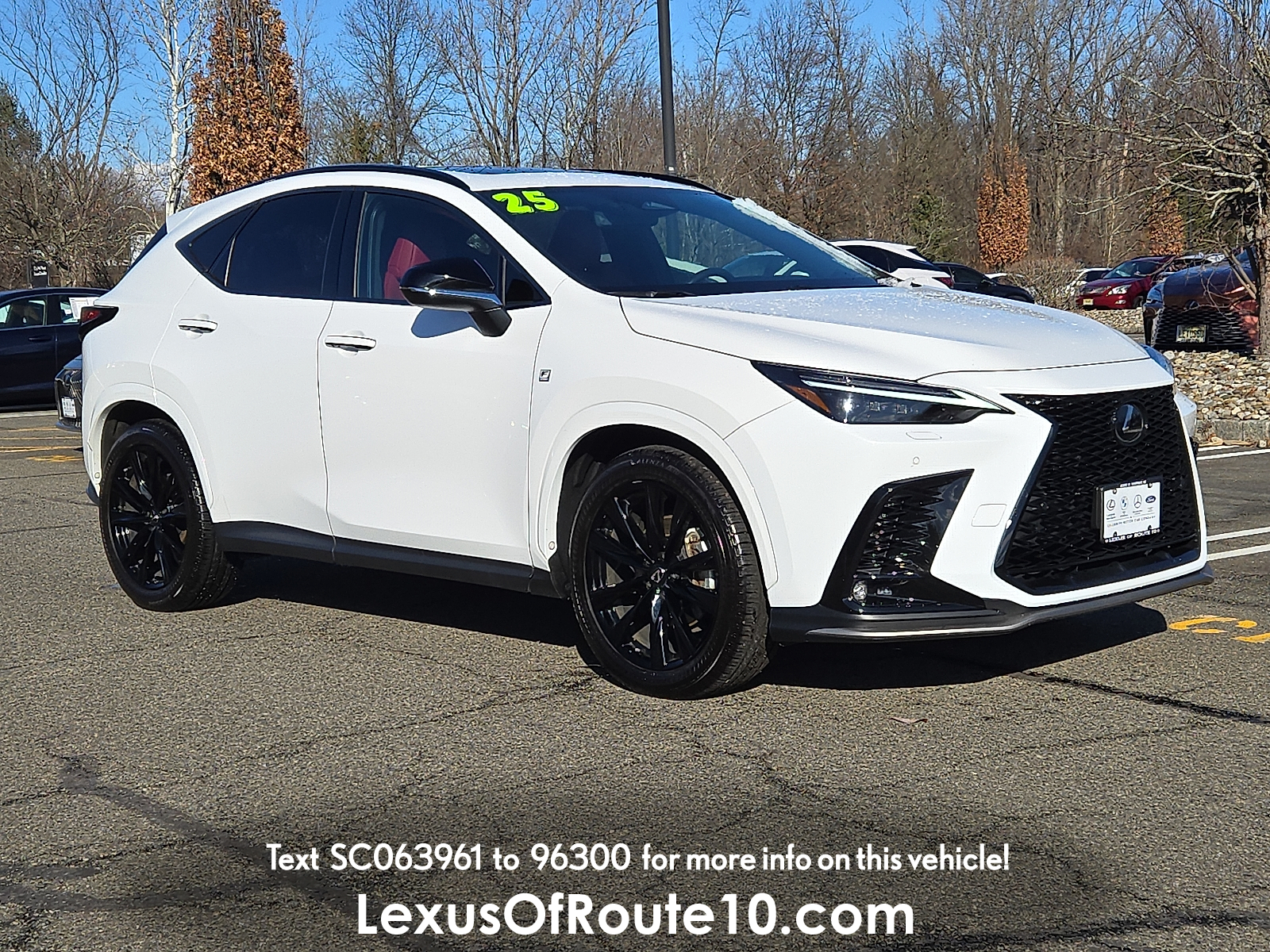 2025 Lexus NX 350's photo