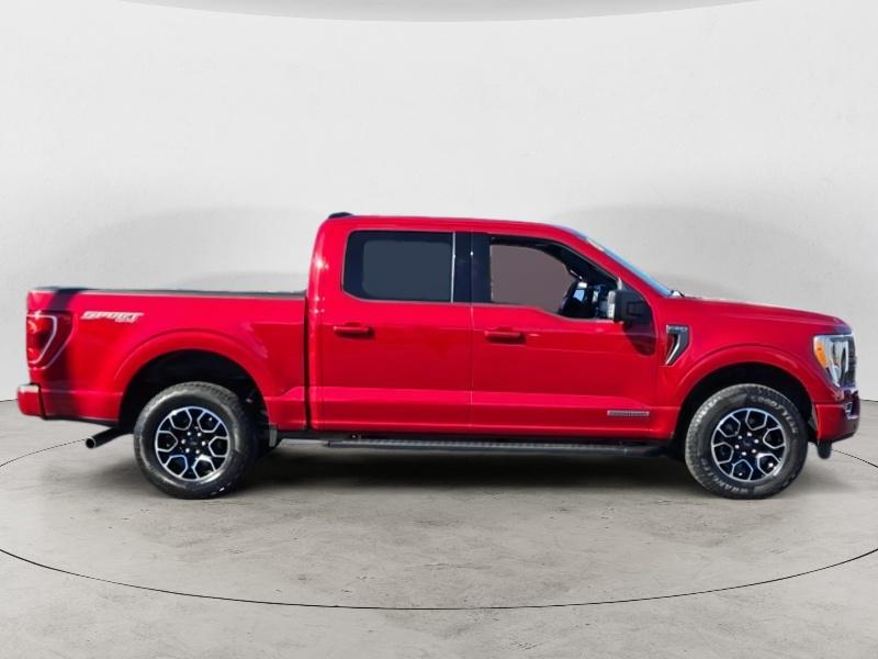 Certified 2022 Ford F-150 XLT with VIN 1FTFW1ED5NFB50927 for sale in Little Rock