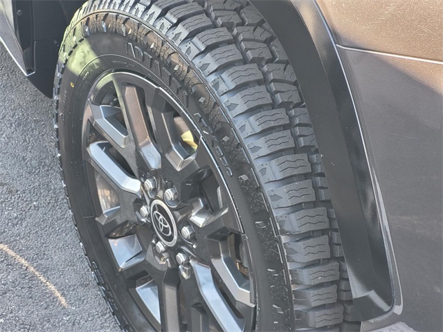 2023 Toyota Sequoia Platinum photo 4