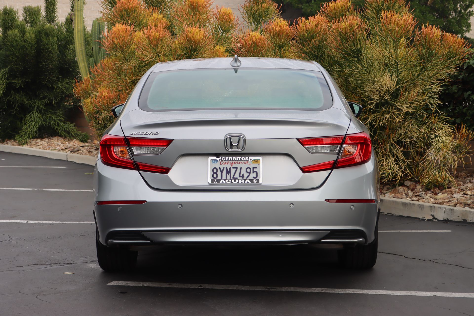 2021 Honda Accord EX-L photo 4