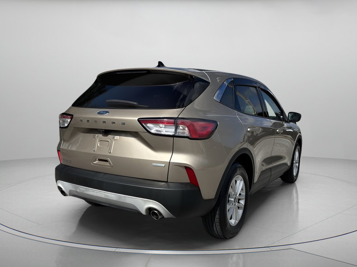 2020 Ford Escape SE Sport photo 2