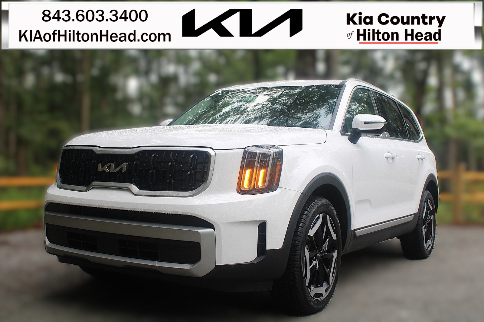 2025 Kia Telluride EX's photo