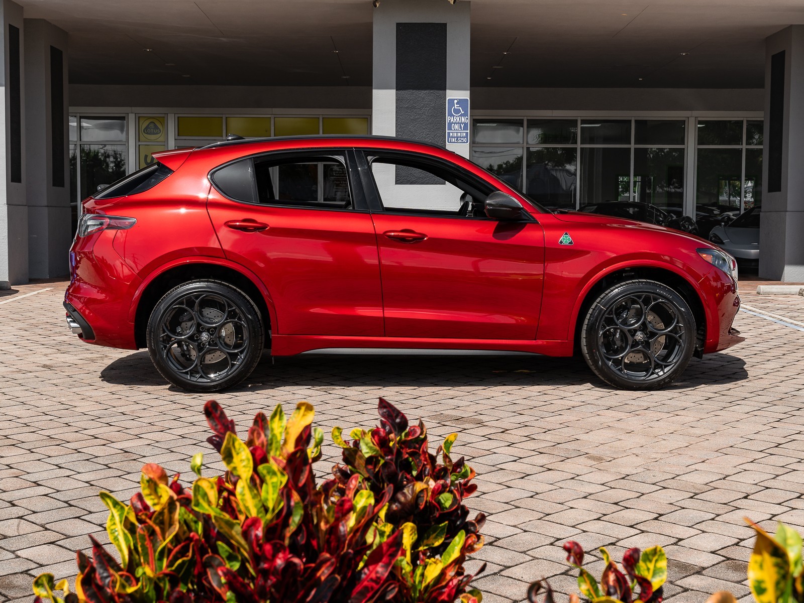 2024 Alfa Romeo Stelvio Quadrifoglio photo 23