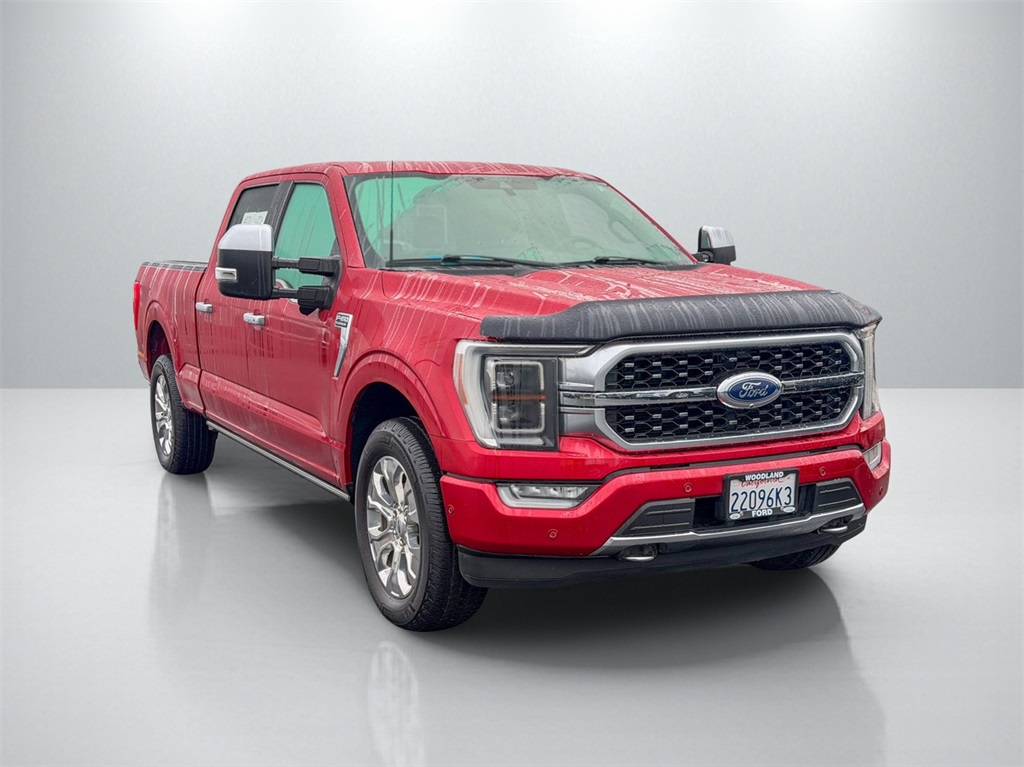 2022 Ford F-150 Platinum's photo