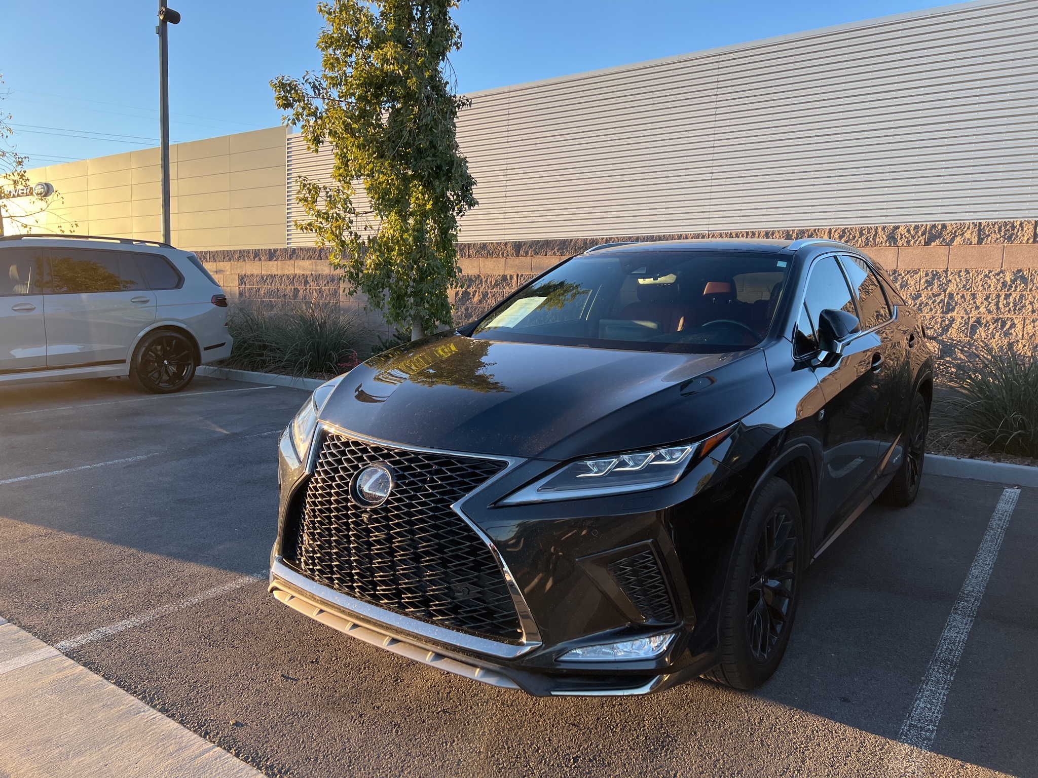 2021 Lexus RX Base's photo