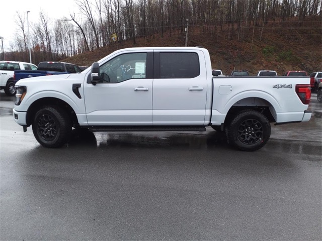 2025 Ford F-150 XLT photo 3