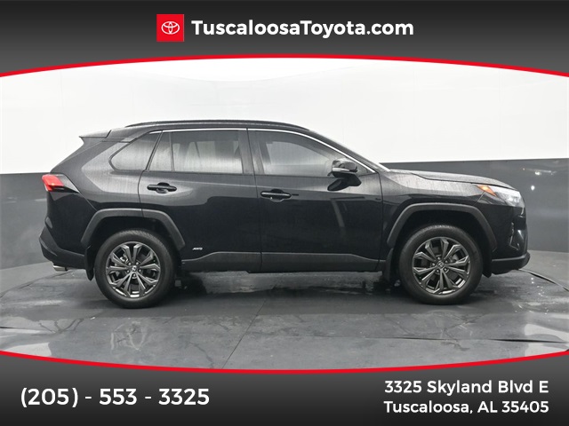 2025 Toyota RAV4 XLE Premium's photo