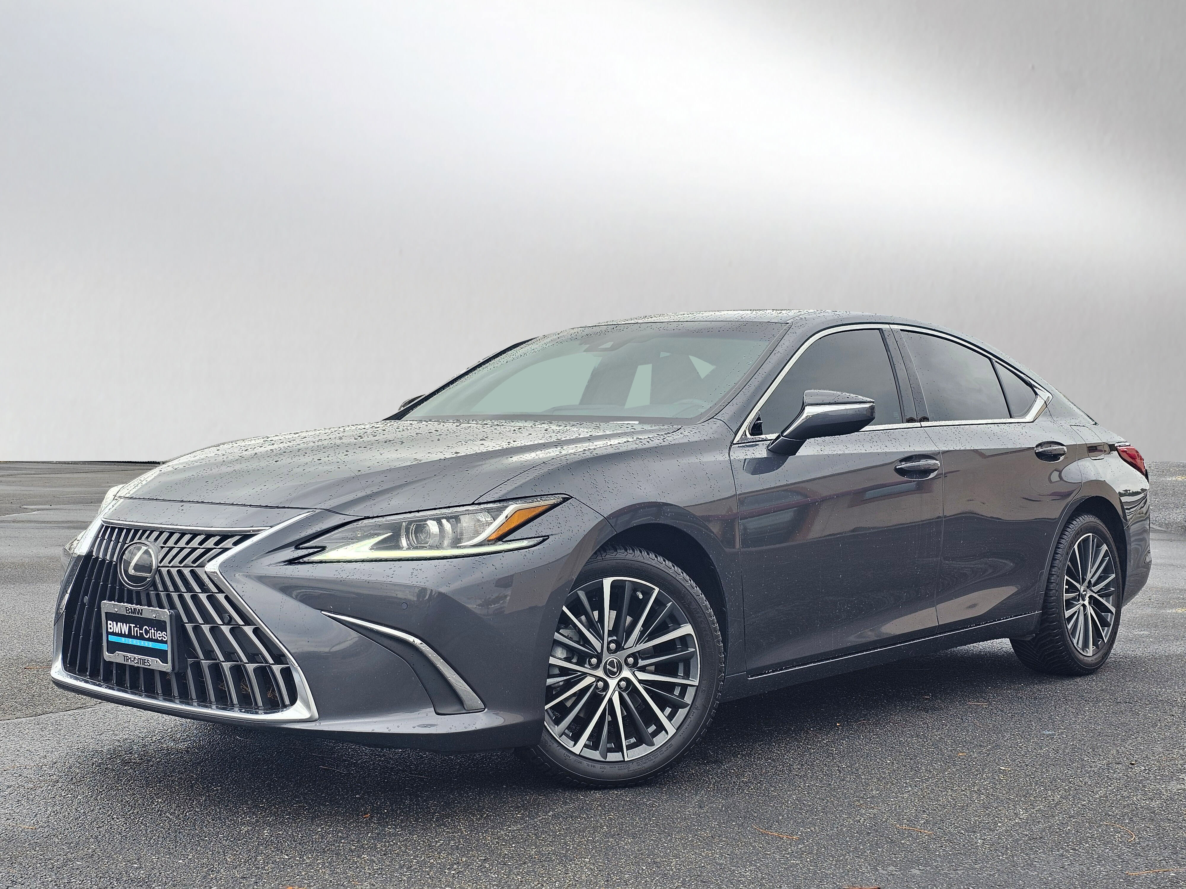 2023 Lexus ES 250's photo