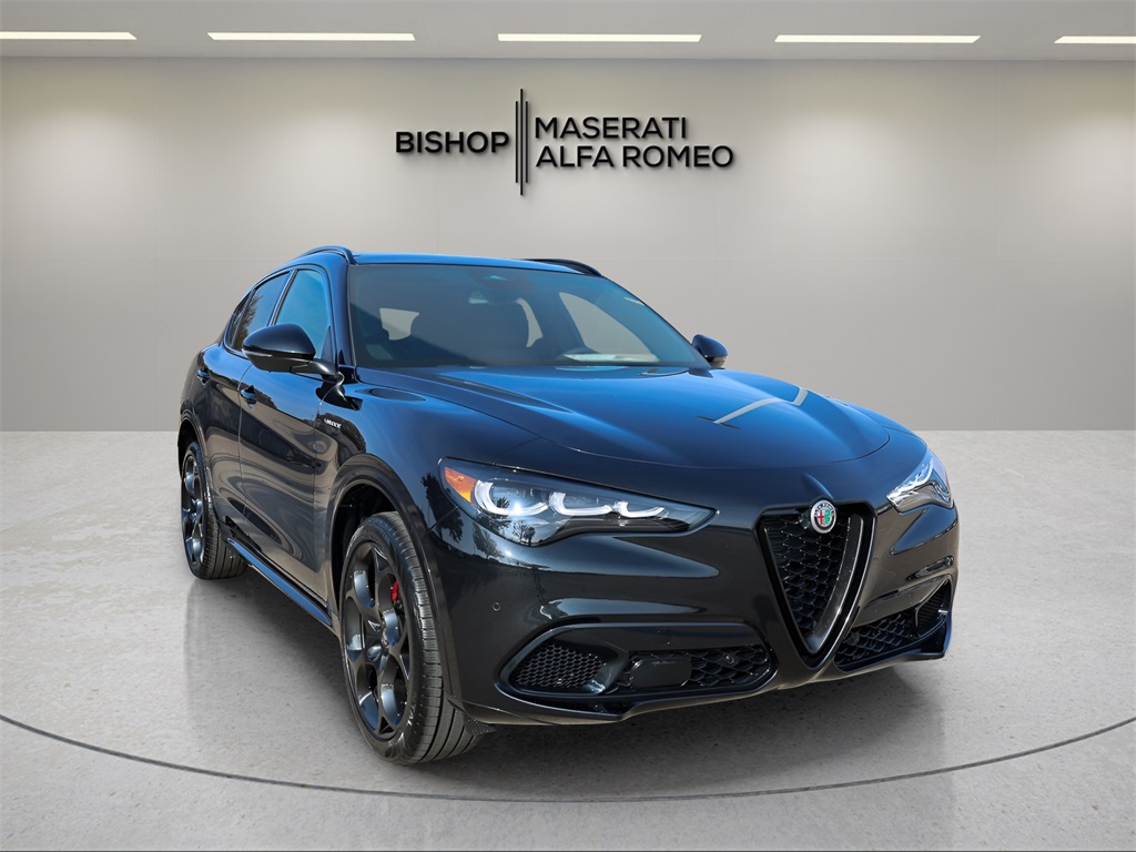 2025 Alfa Romeo Stelvio Base's photo